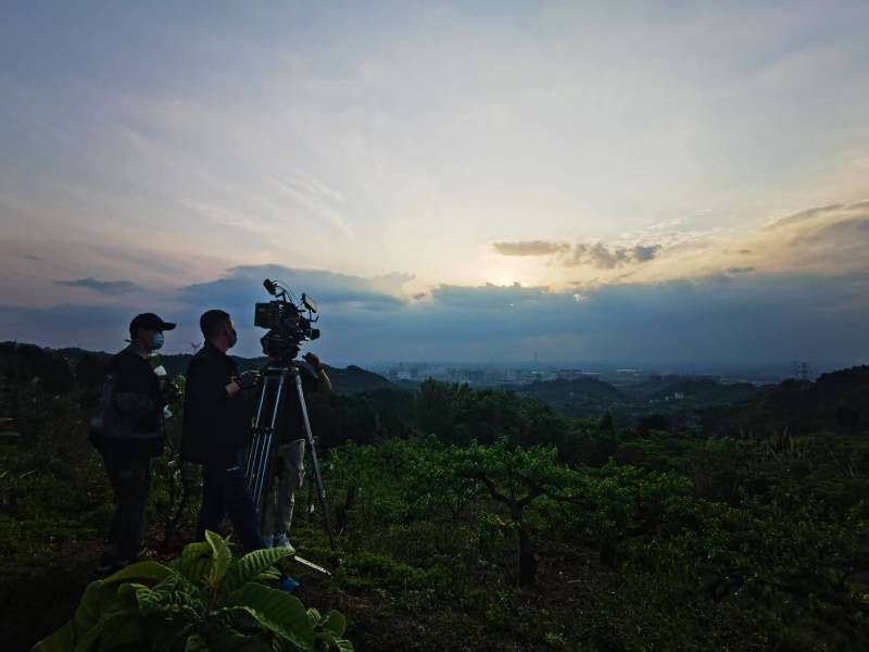 聚焦西双产品宣传视频拍摄公司，用专业实力铸就品牌传播传奇