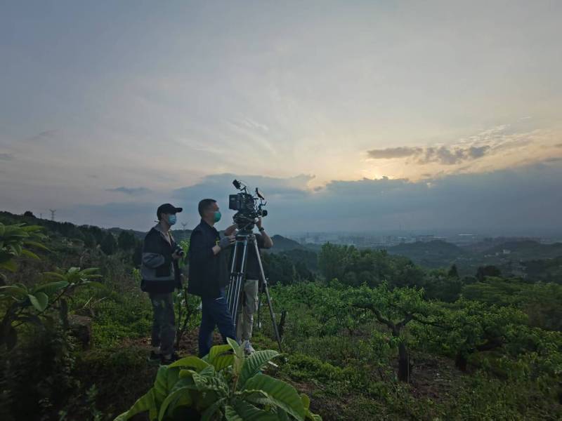 创意破圈！西双电商产品宣传视频用故事化叙事引爆流量