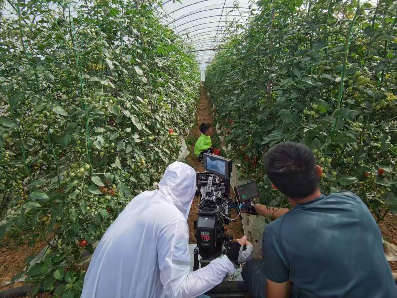 西双产品宣传视频拍摄公司进阶指南，助力品牌抢占传播高地